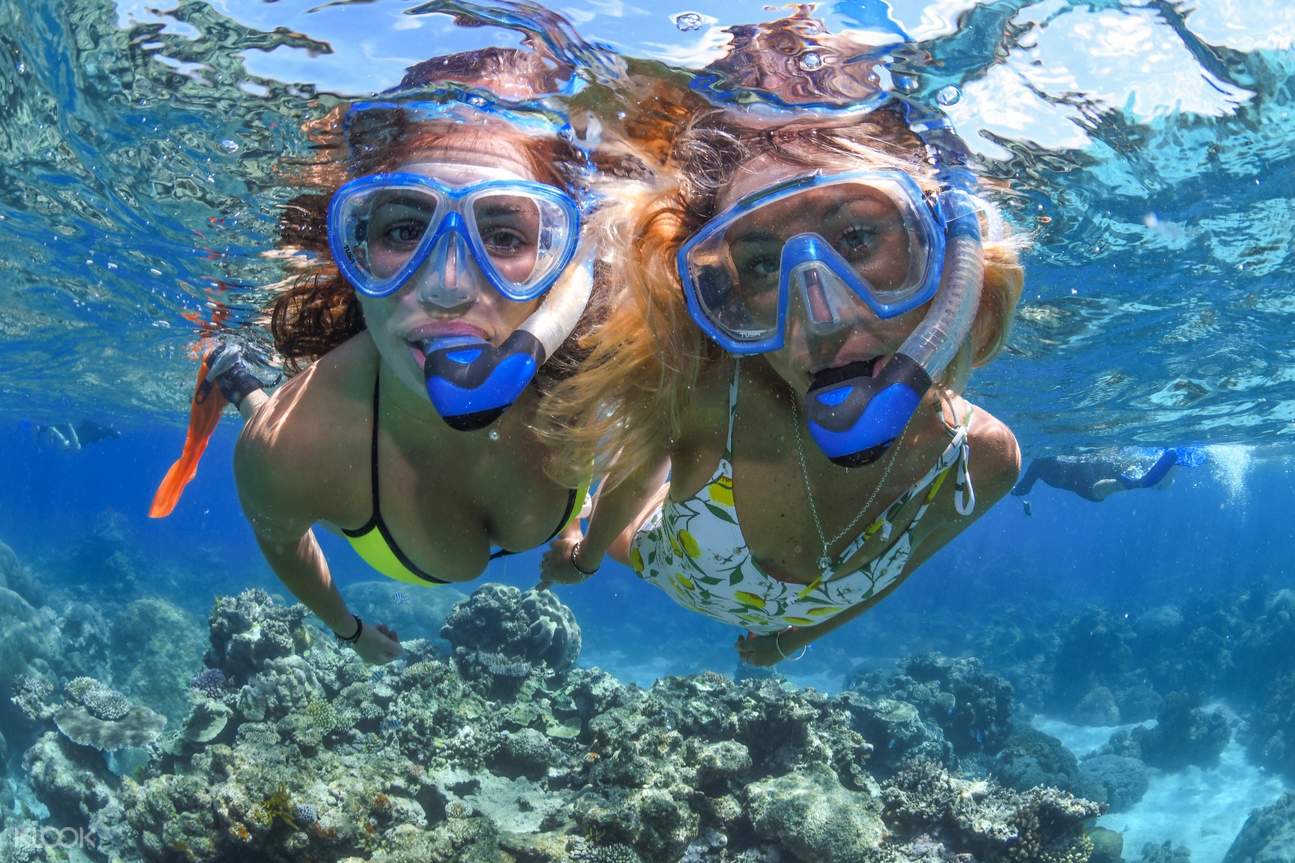 Great Barrier Reef snorkeling tours